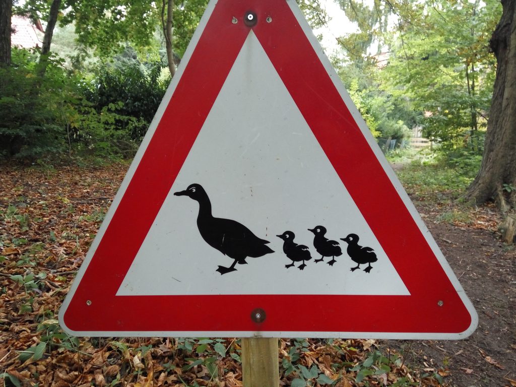 Ein Verbotsschild auf dem eine Entenfamilie abgebildet ist.